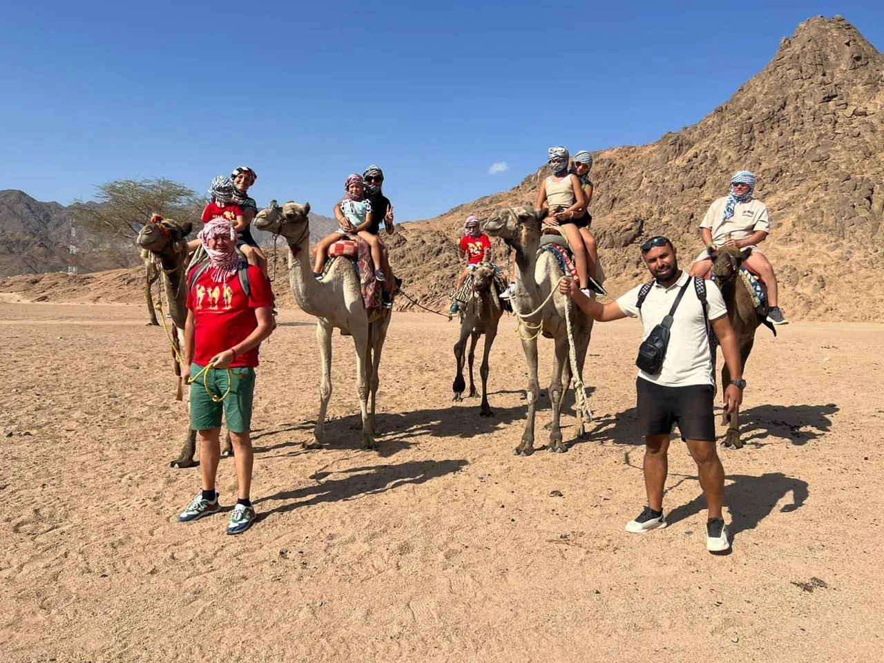 Tourists enjoy a camel ride adventure in the sunny Sinai desert near Sharm El Sheikh.
