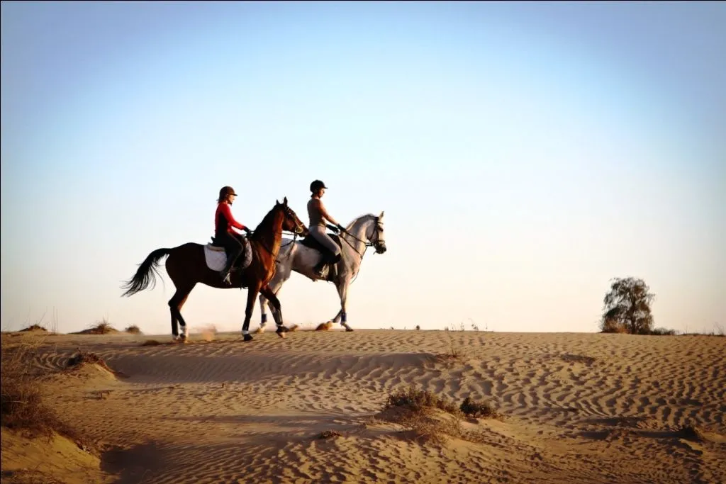 Two riders on horses exploring vast Sinai desert dunes at sunrise or sunset.