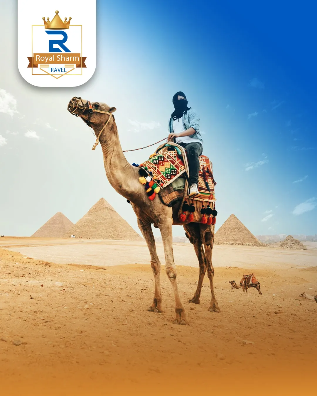 Sharm El-Sheikh: Full-Day Tour of Cairo and Pyramids by Bus
