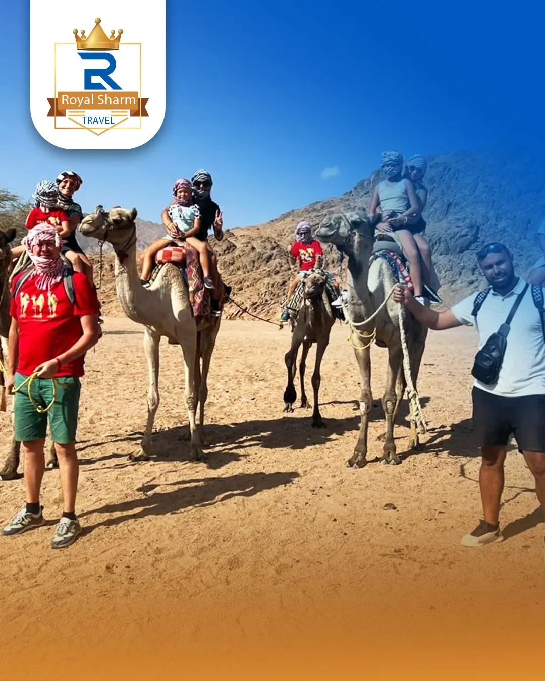 Camel Riding Adventure in the Sinai Desert – Sharm El Sheikh