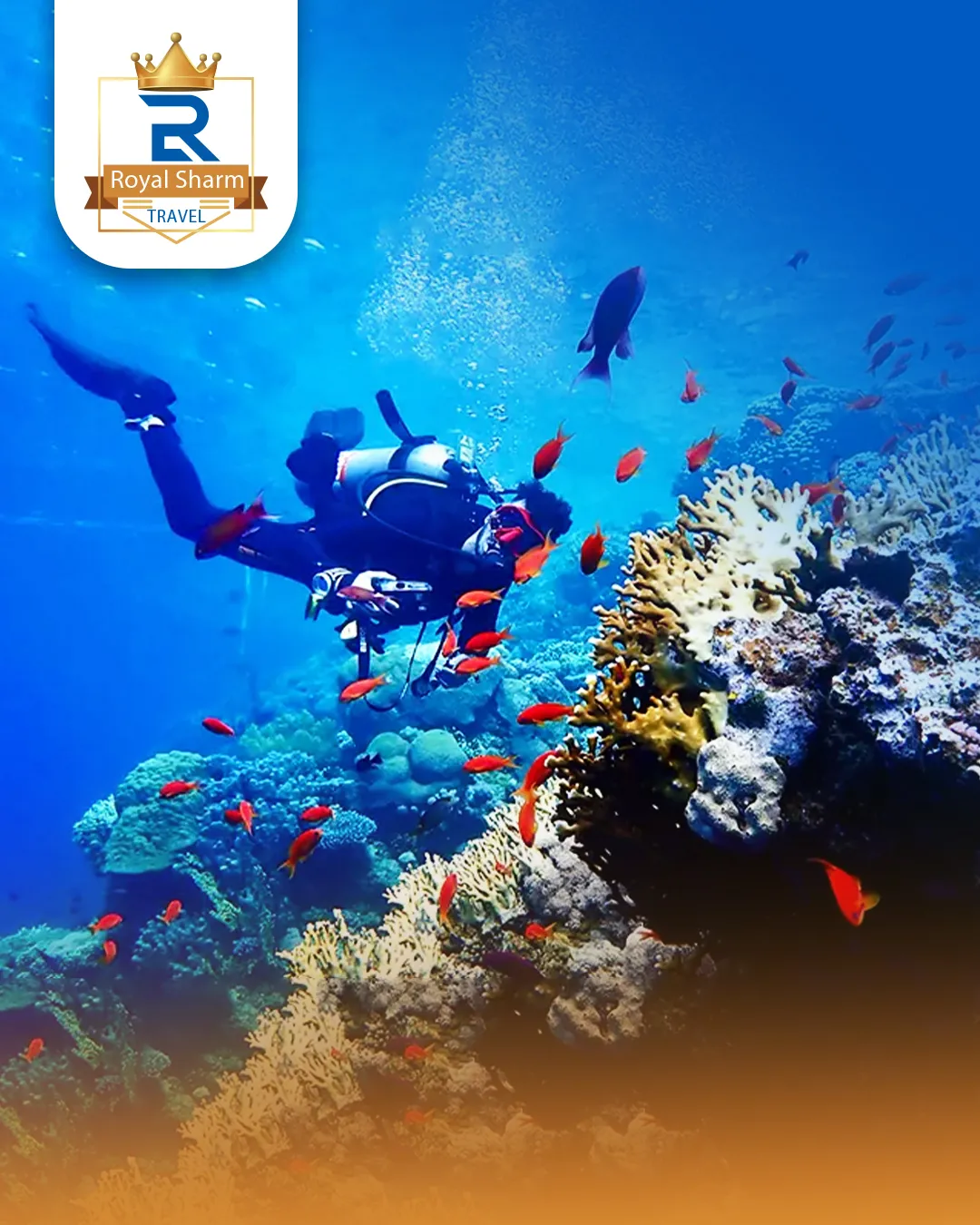 6-Dive Package – Ras Mohamed National Park & Tiran Island (3 Days by Boat)