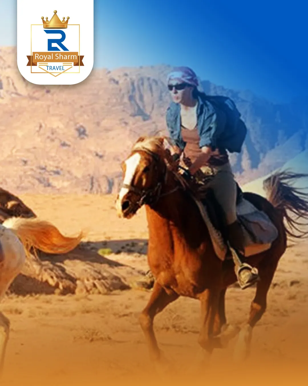 Horse Riding Tour in the Sinai Desert