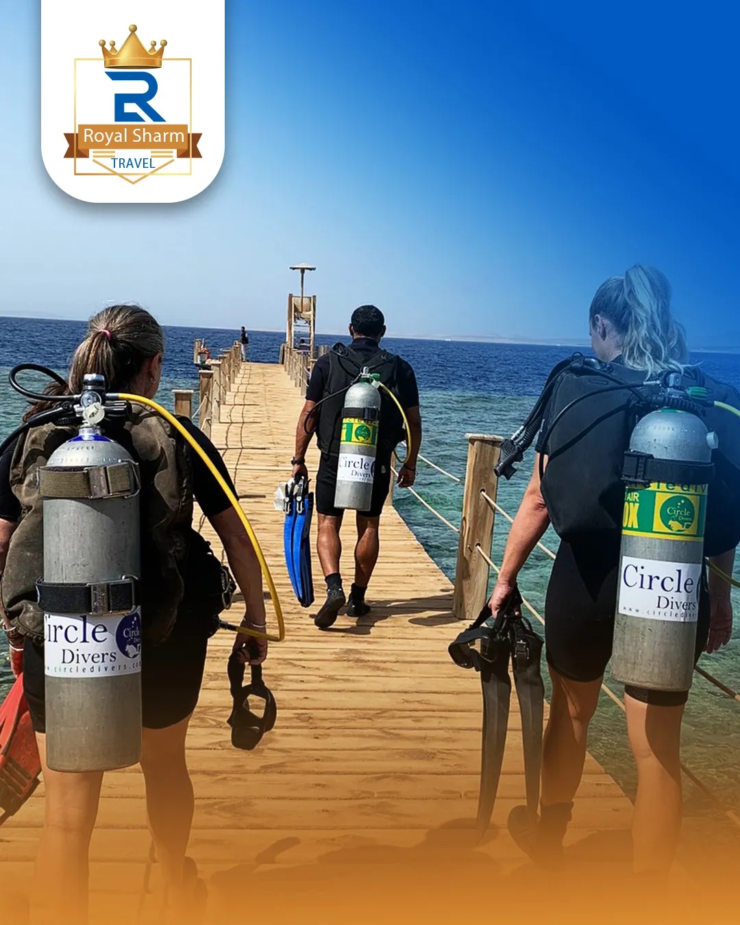 Diving from Shore in Sharm El Sheikh 🌊🤿