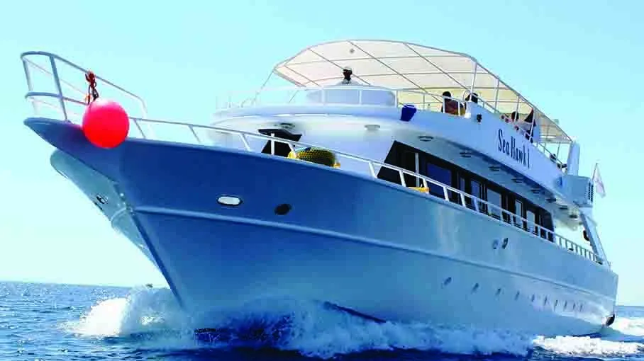 sea trips